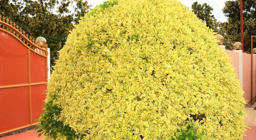 فندق ومنتجع كونراداز بليس بنغلاو المظهر الخارجي الصورة